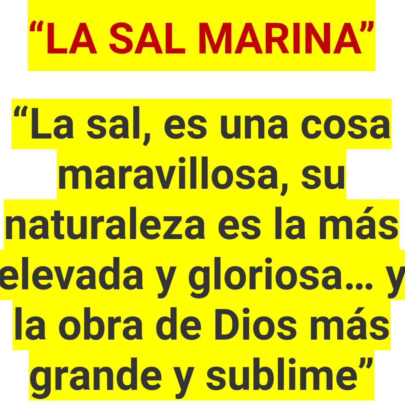 La RADIO Del NELE