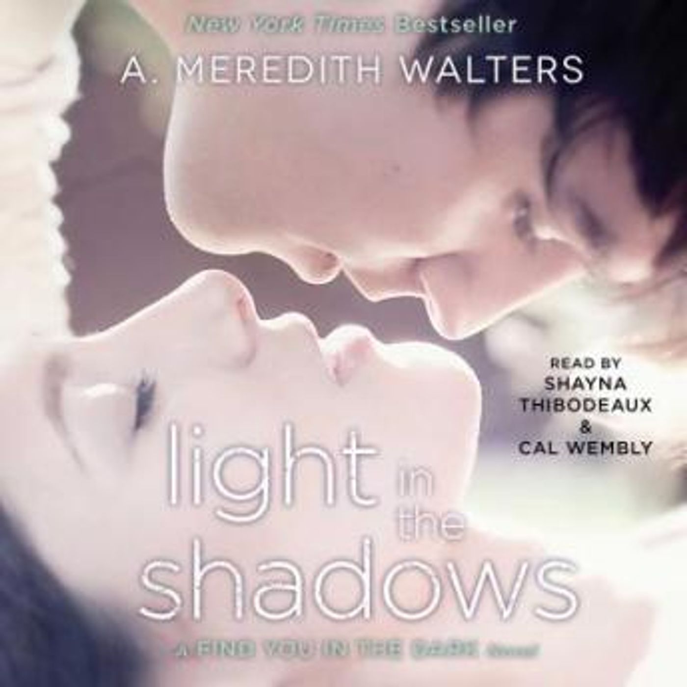 Light in the Shadows by A. Meredith Walters episode artwork