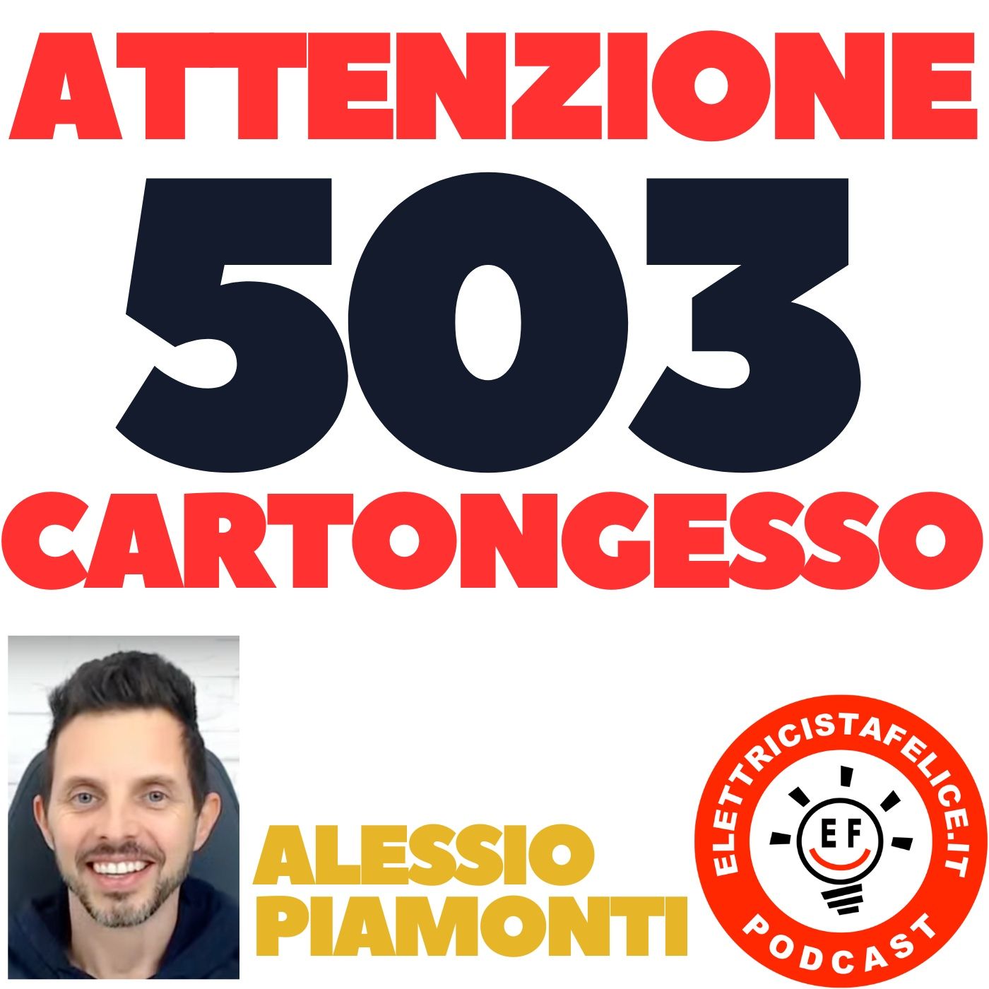 Elettricista felice