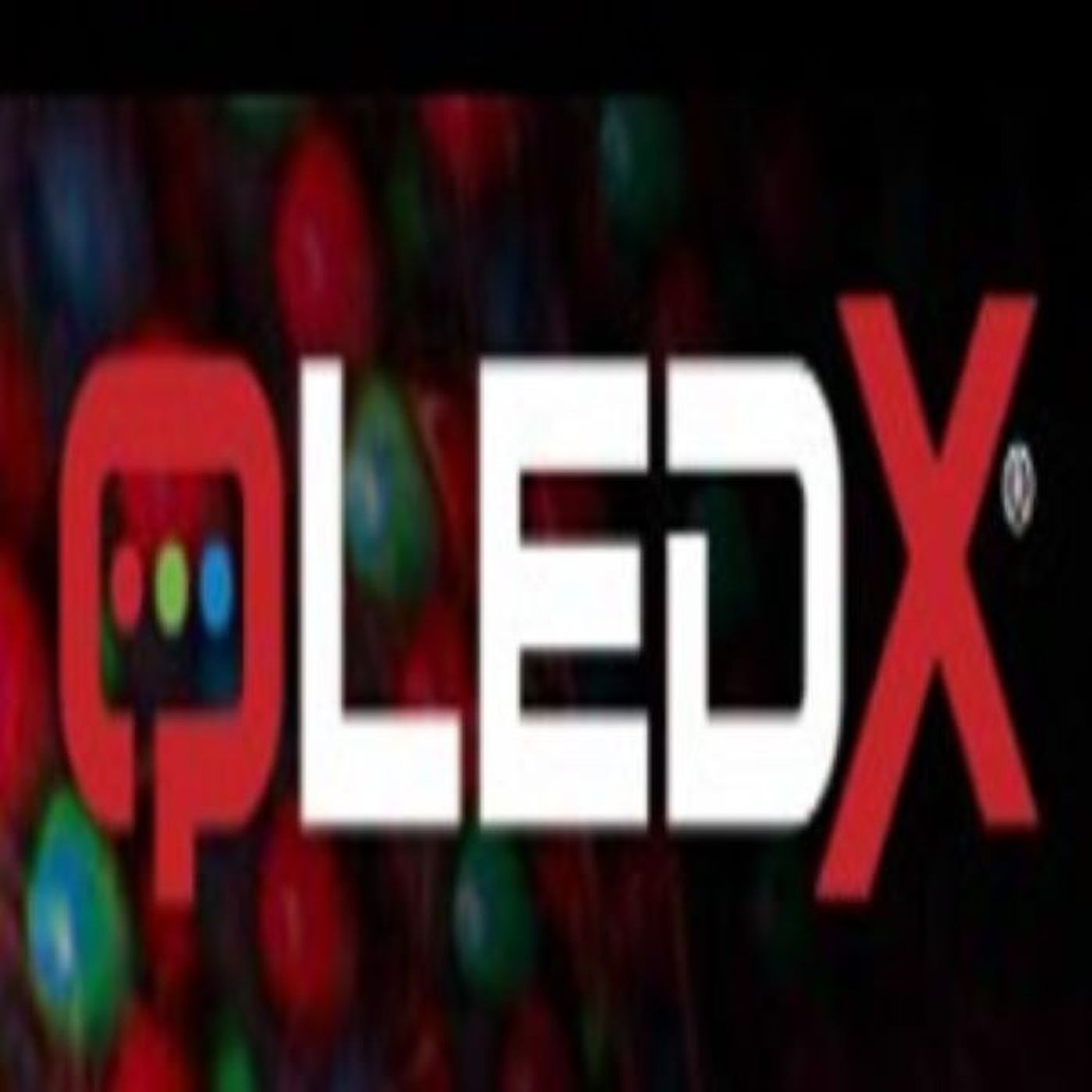 Qldex Nederland