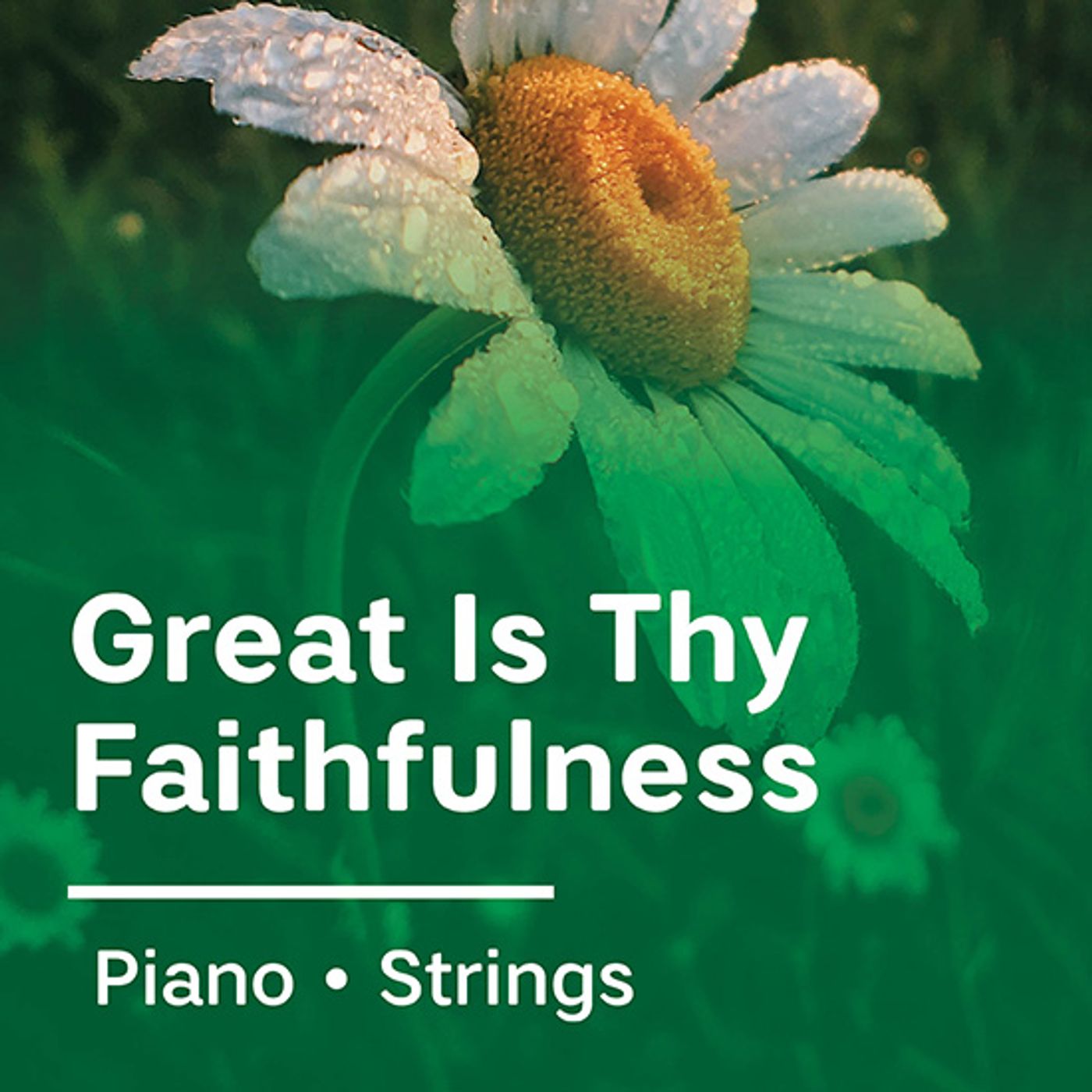 Great Is Thy Faithfulness Great Is Thy Faithfulness