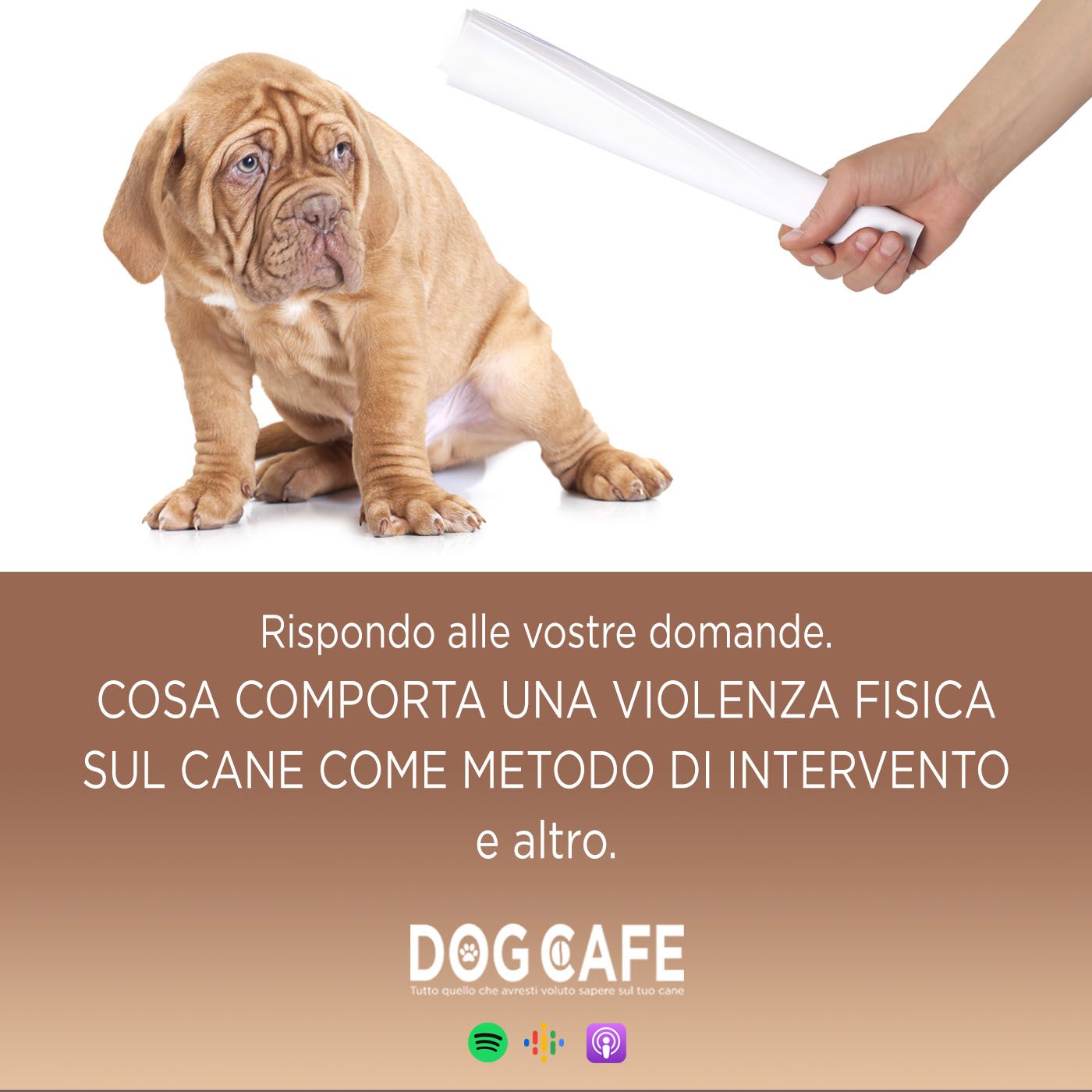 Dog Cafe Podcast