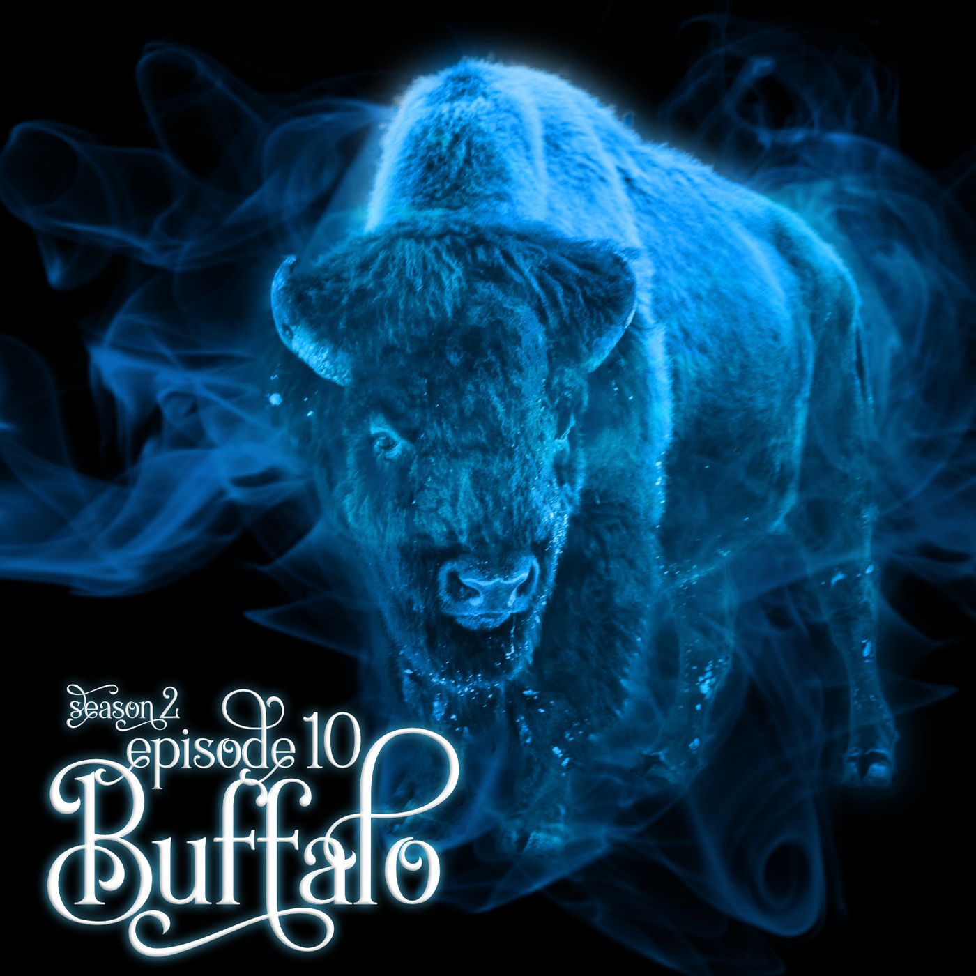 S2E10: Buffalo S2E10: Buffalo