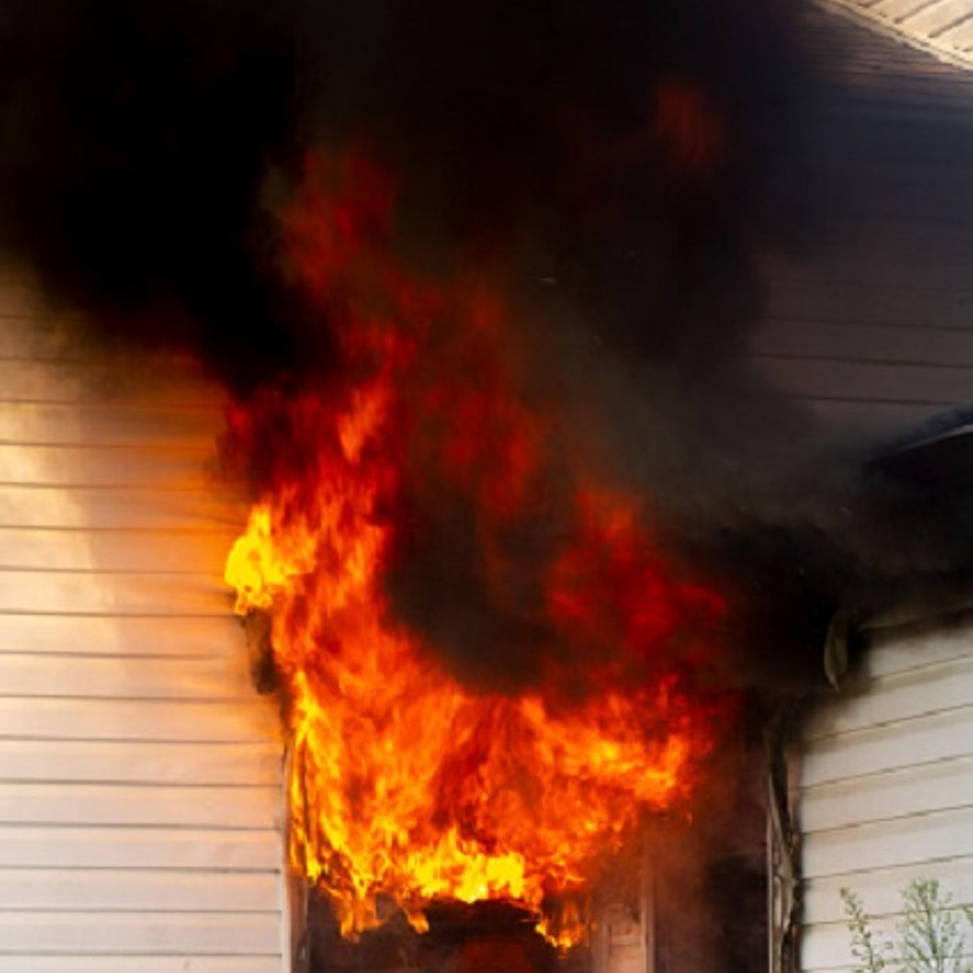 Dog saves disabled owner's life in house fire (Smile File) episode artwork