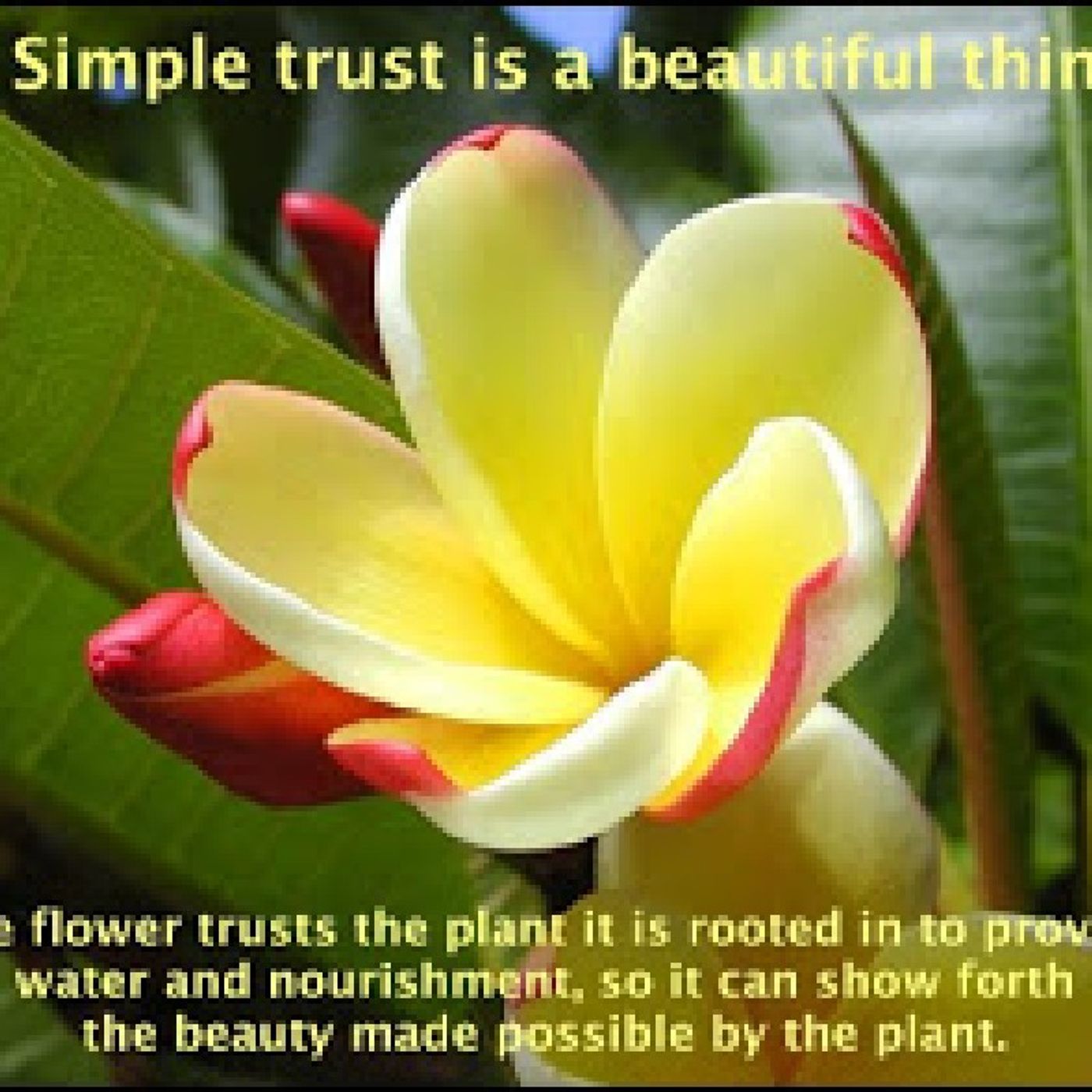 Times Of Refreshing Radio