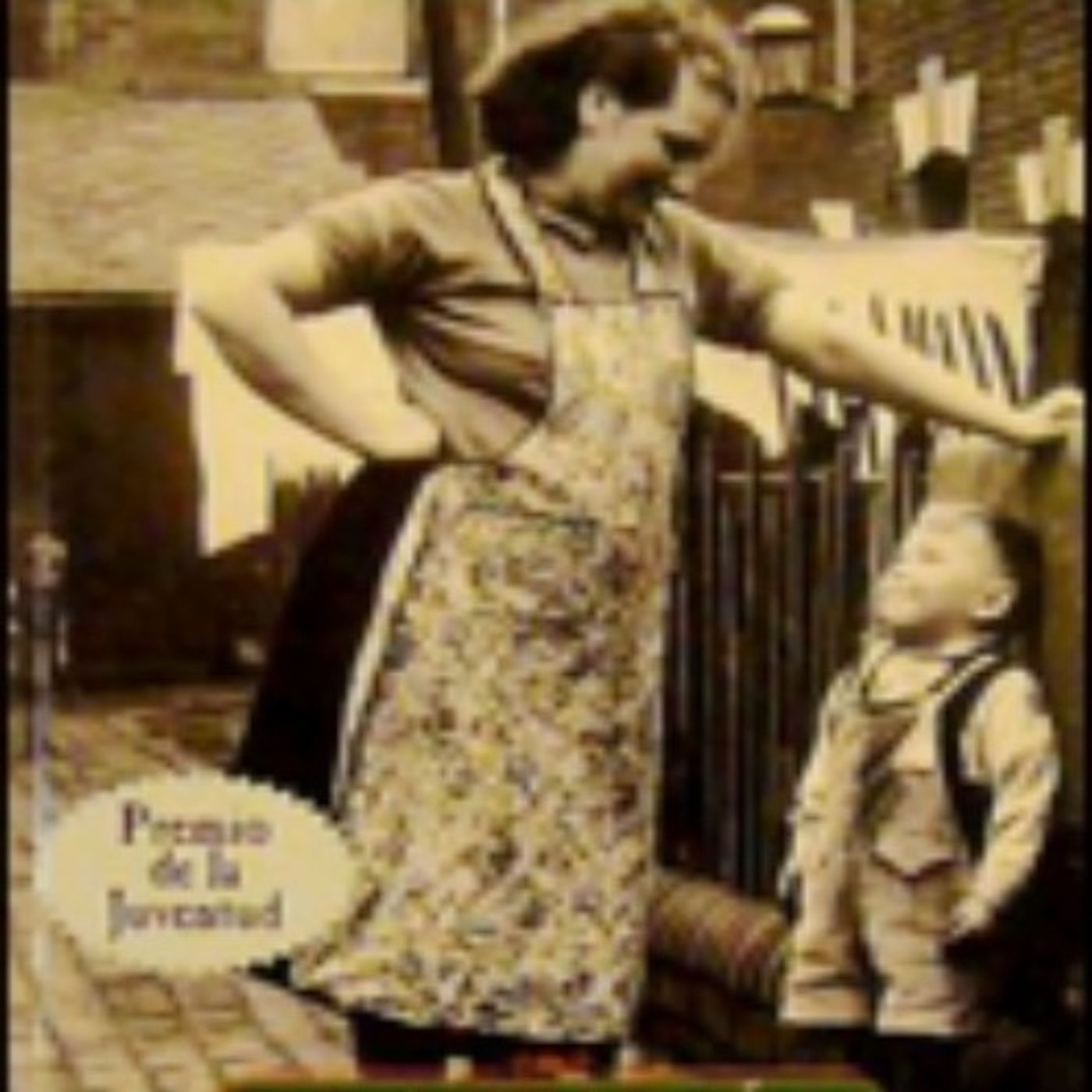 (Resumen) La mama - Brendan OCarroll