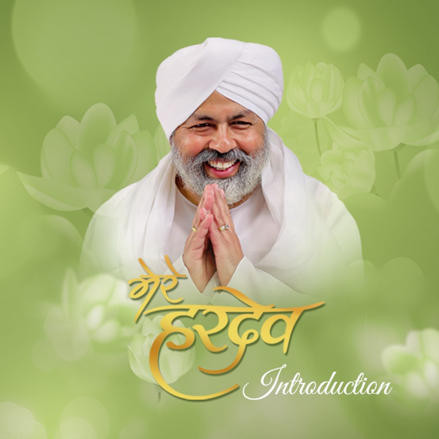 Mere Hardev: Introduction