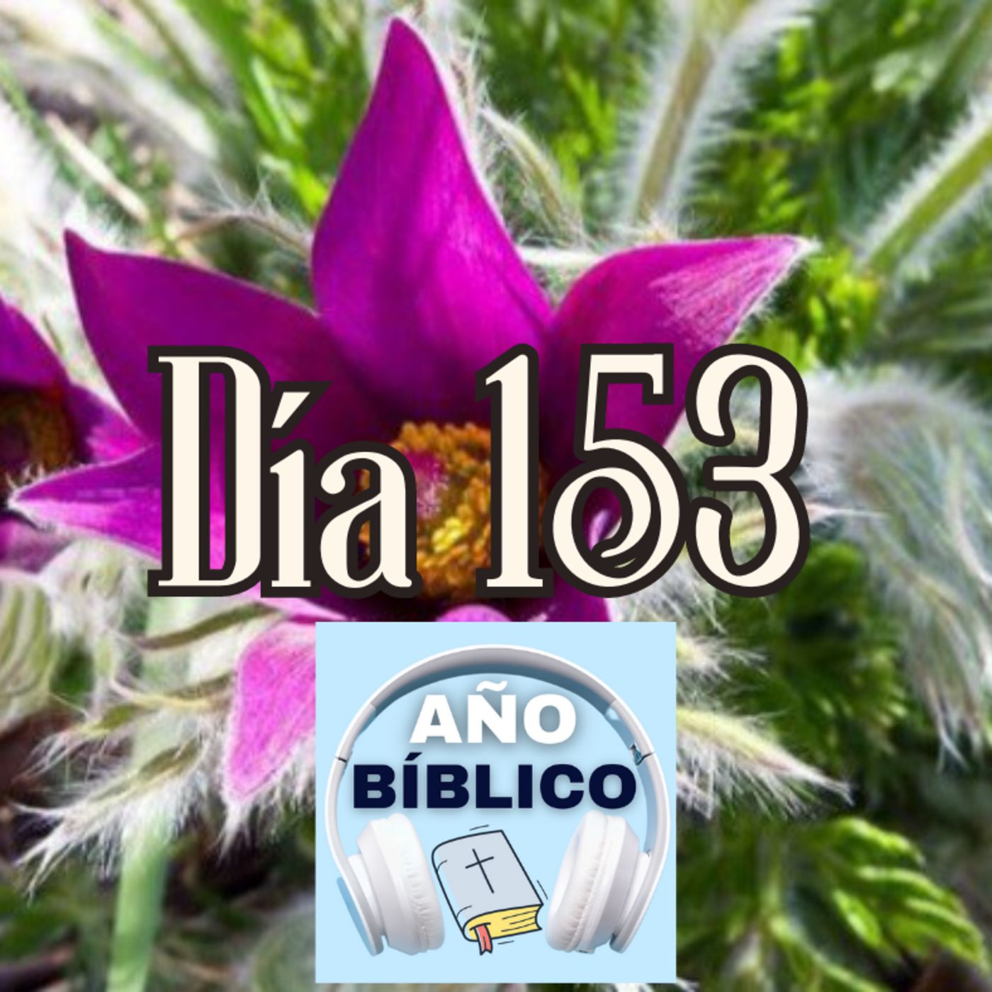 Día 153 - Salmos 68:19-23, 1 Reyes 9-10 y Hechos 21:26-40 episode artwork