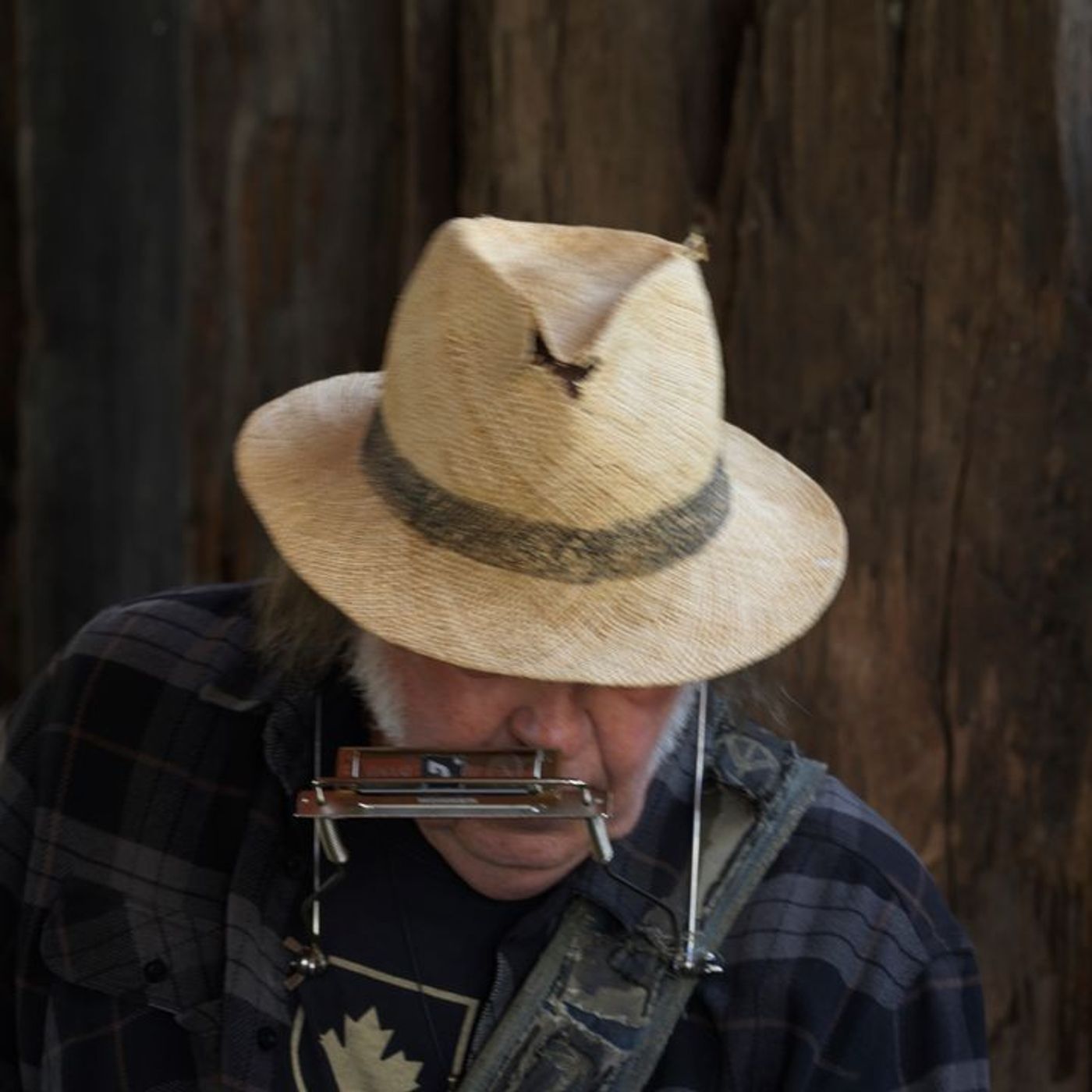 Neil Young and the Chrome Hearts Return With New Album Second Song episode artwork