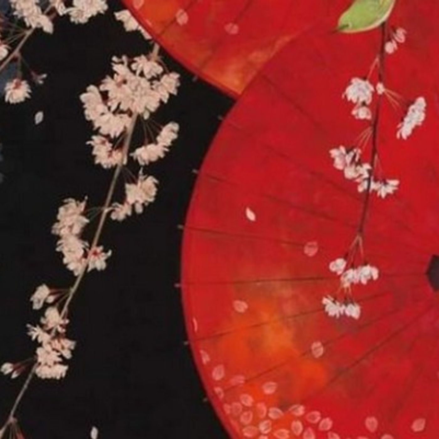 Tracce di Domenico Tota