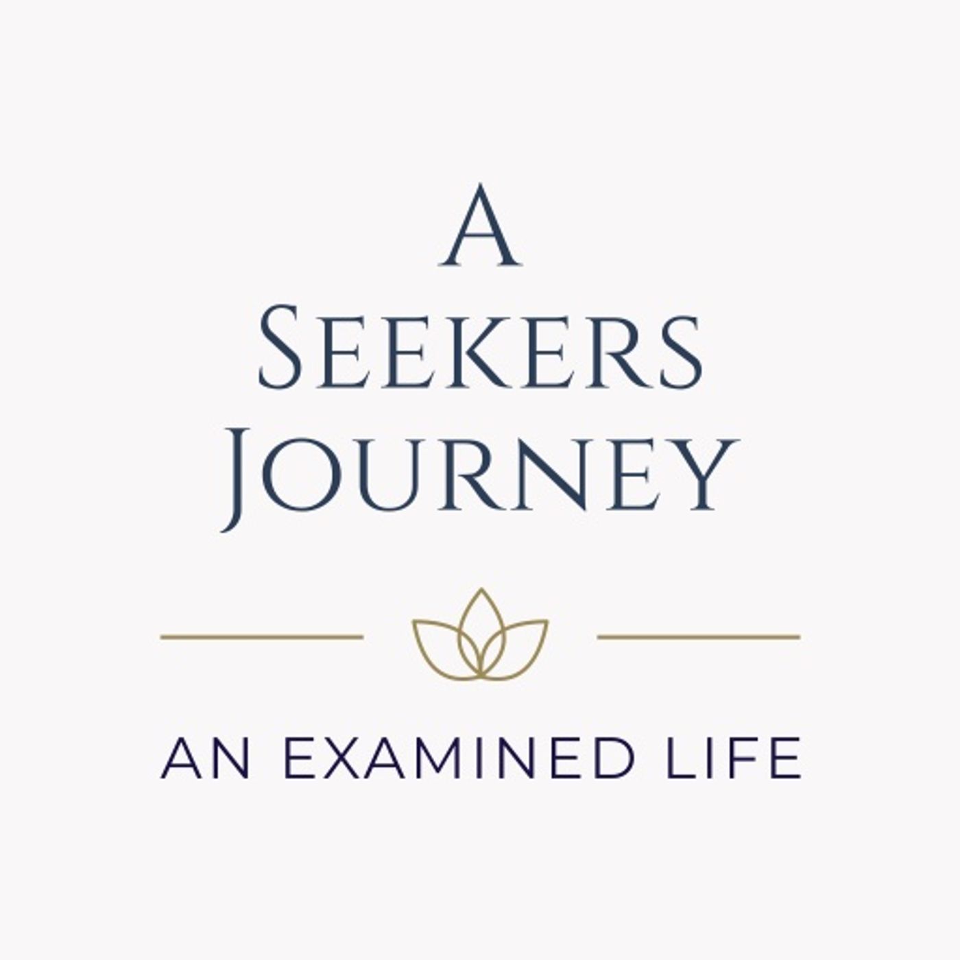 A Seekers Journey episode 3