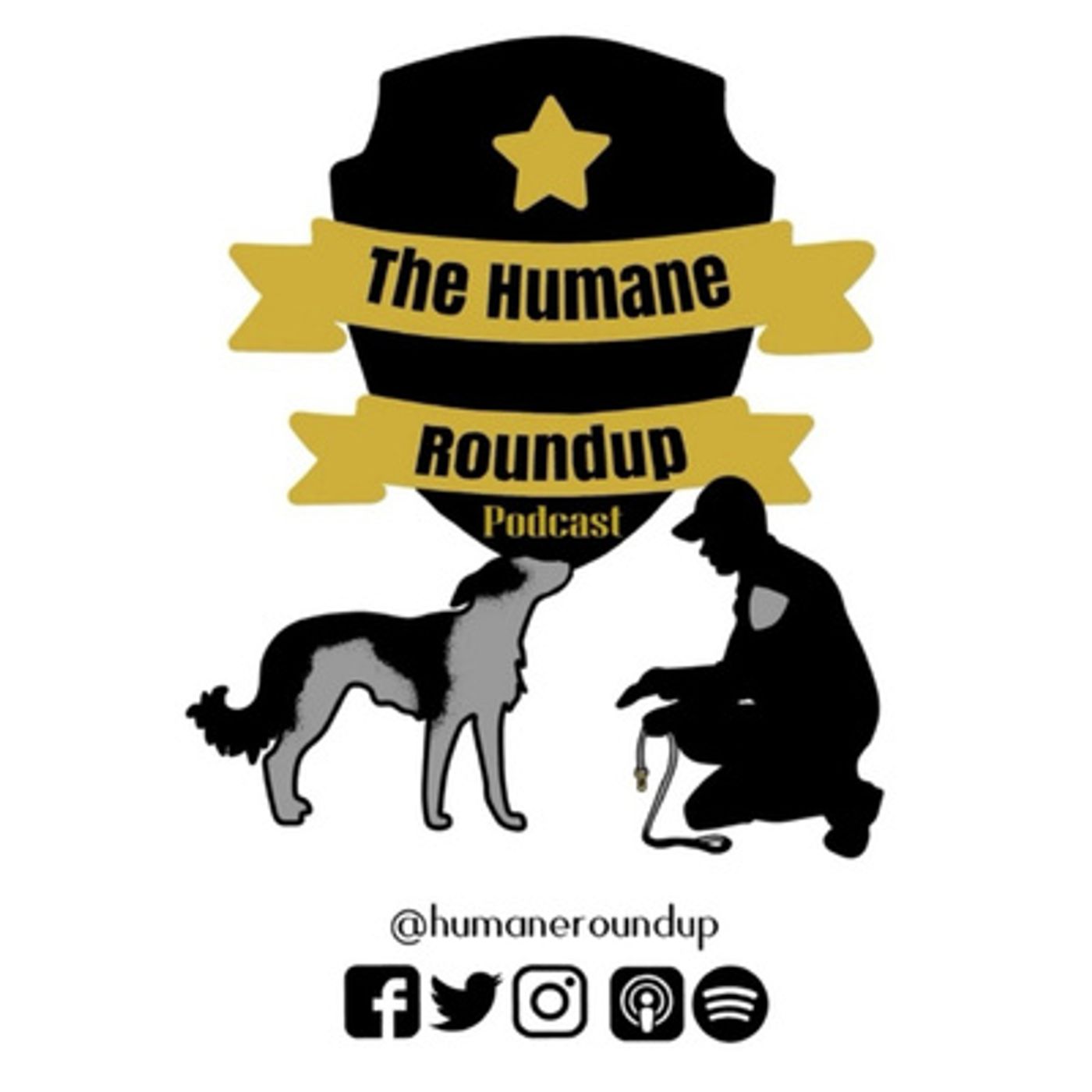 The Animal Control Report