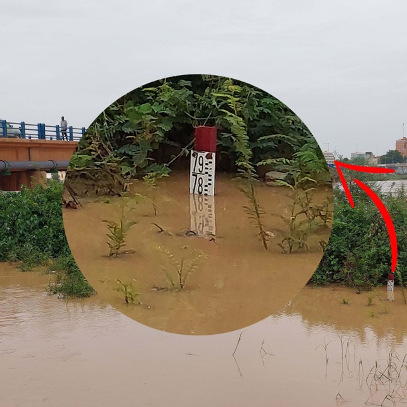 La crue du fleuve Niger fait des dégâts episode artwork