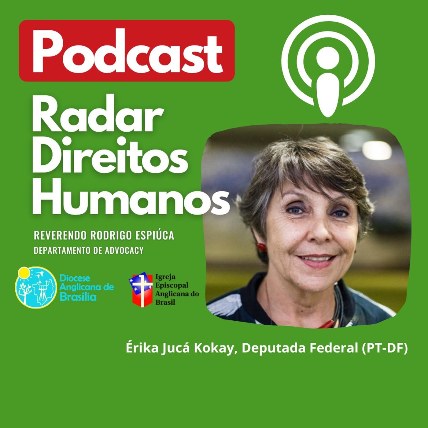 #013 - Mulheres e Direitos Humanos no Brasil com a deputada Federal Érika Jucá Kokay (PT-DF) episode artwork