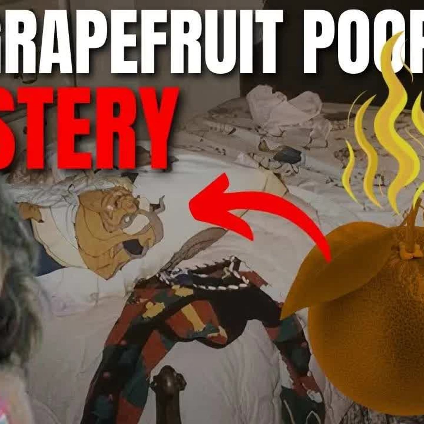 JONBENET Did Housekeeper Mean Grapefruit ＊BALL＊ of Dung？ episode artwork