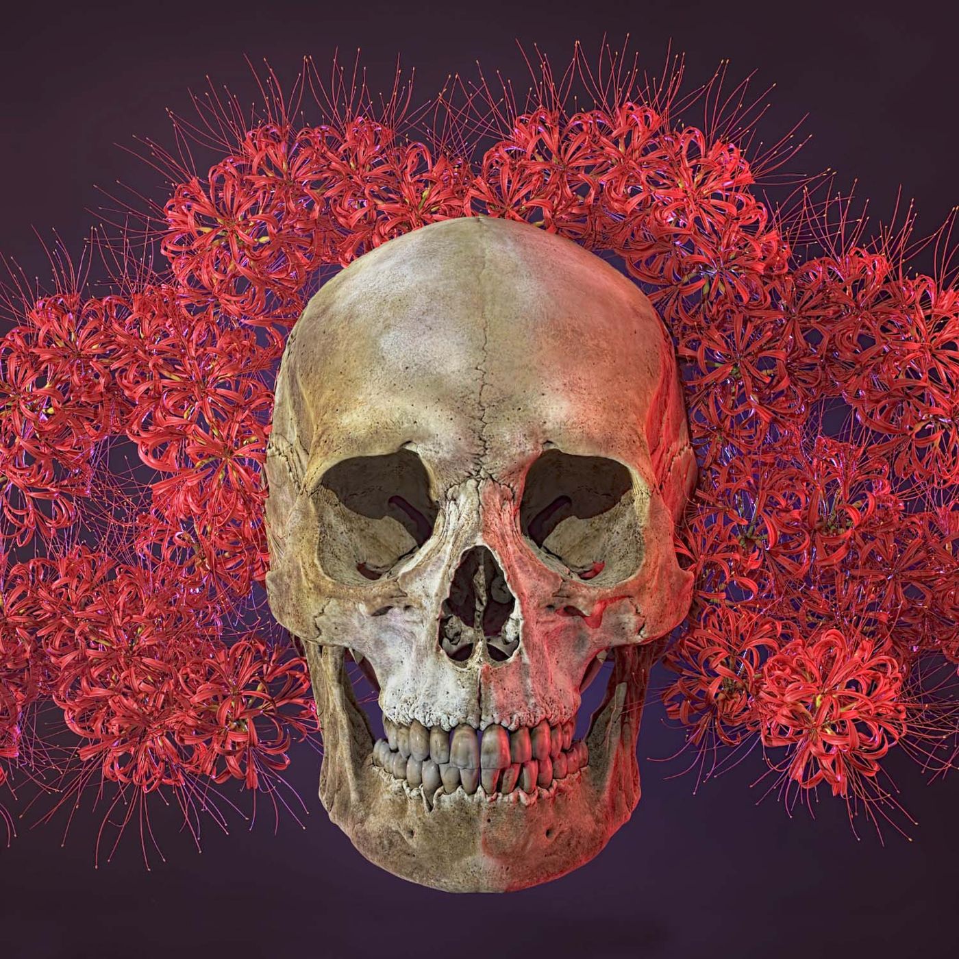 I Migliori Racconti di E. A. Poe cover art