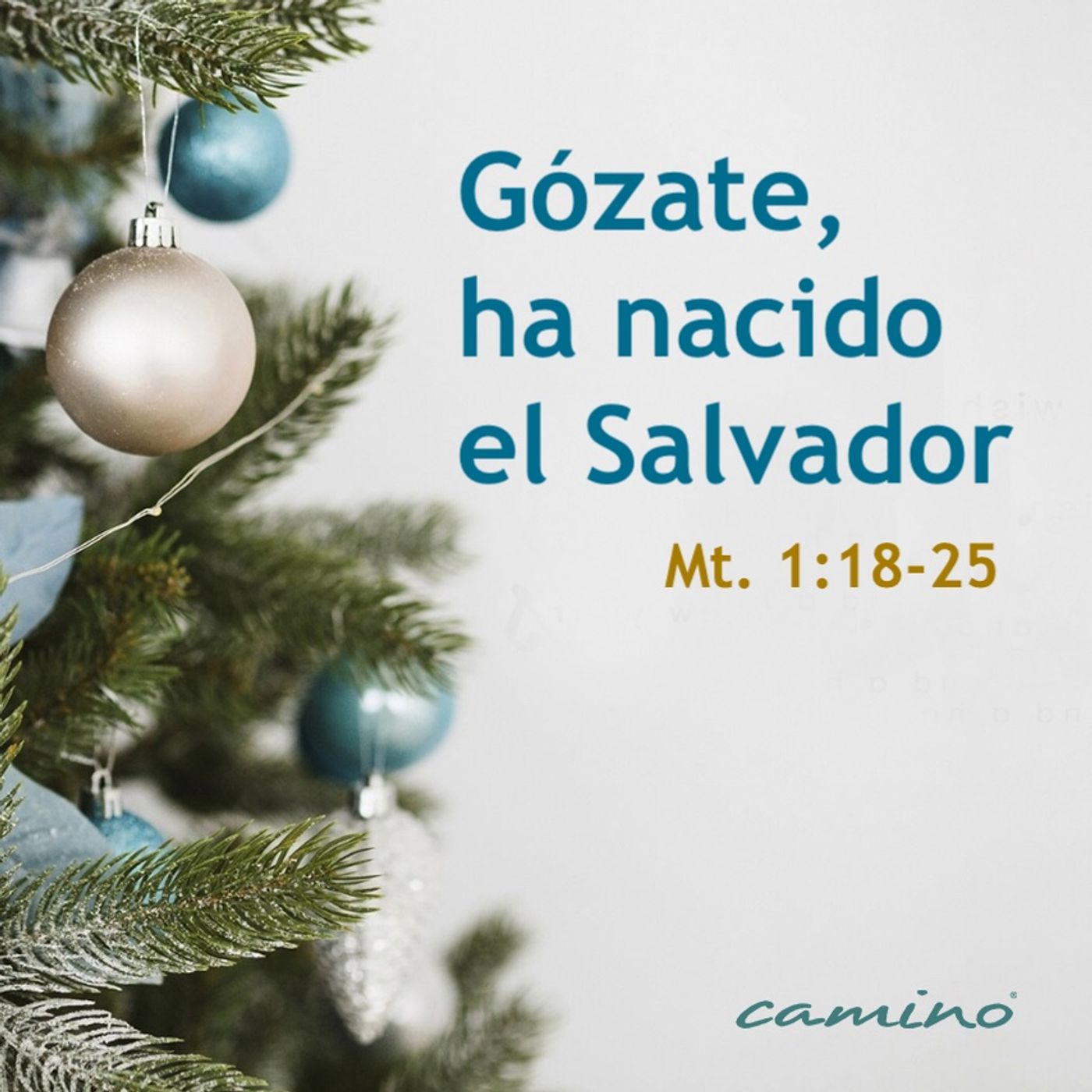 Oración 23 de diciembre (Gózate ha nacido el Salvador) episode artwork