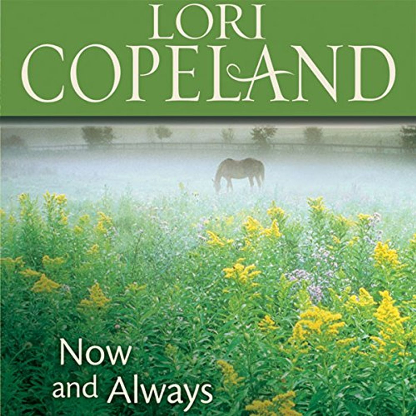 Listen to Best Sellers Audiobooks in Fiction, Religious & Inspirational