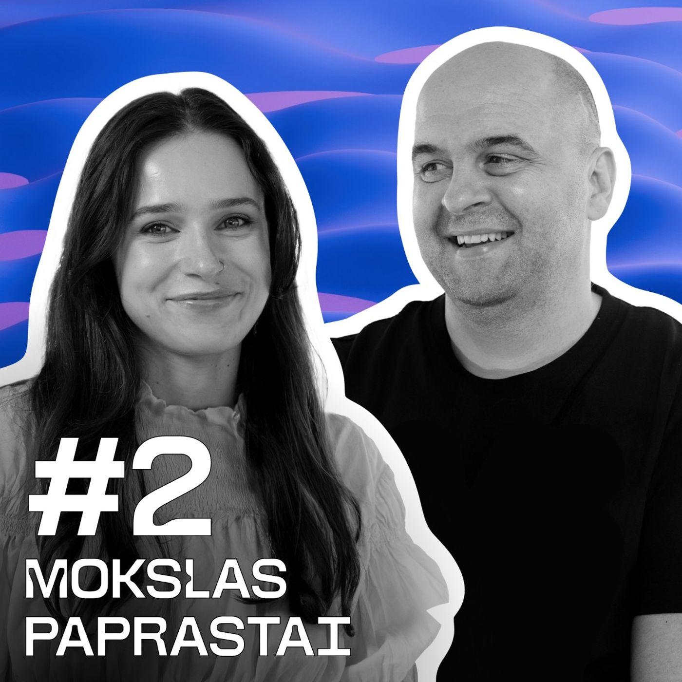 Kai įsilaužimas – ne nusikaltimas episode artwork