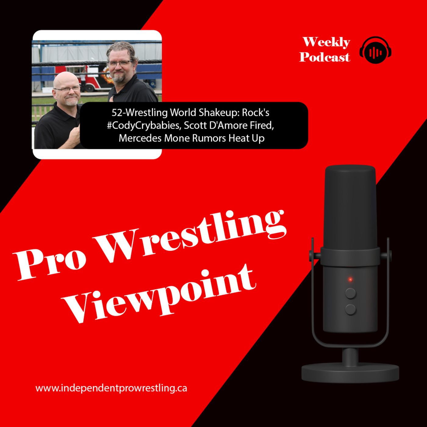 Pro Wrestling Viewpoint