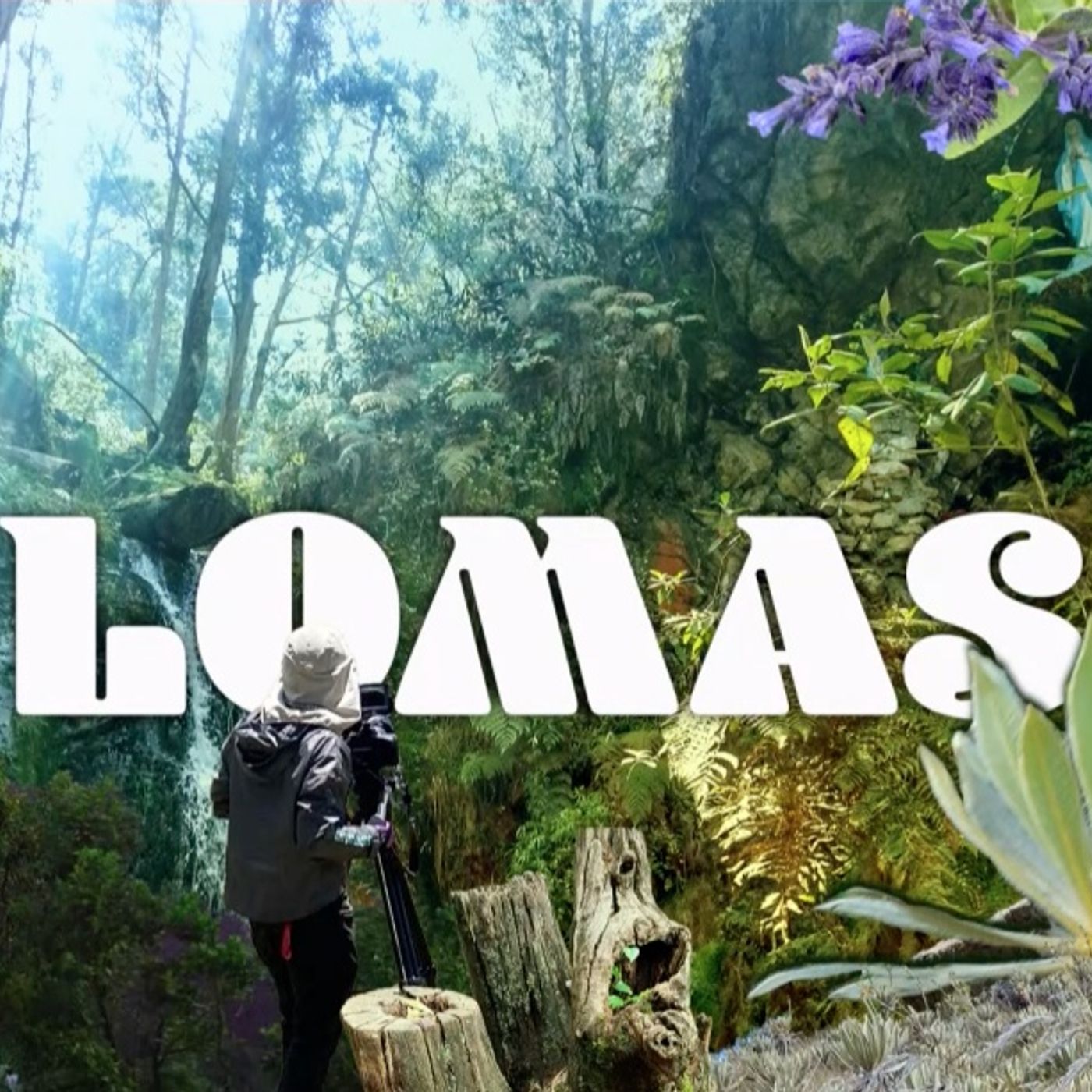 Lomas