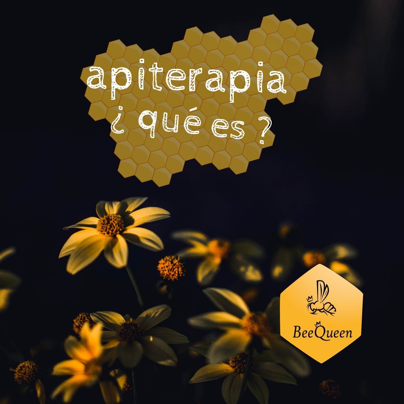 Pláticas del colectivo