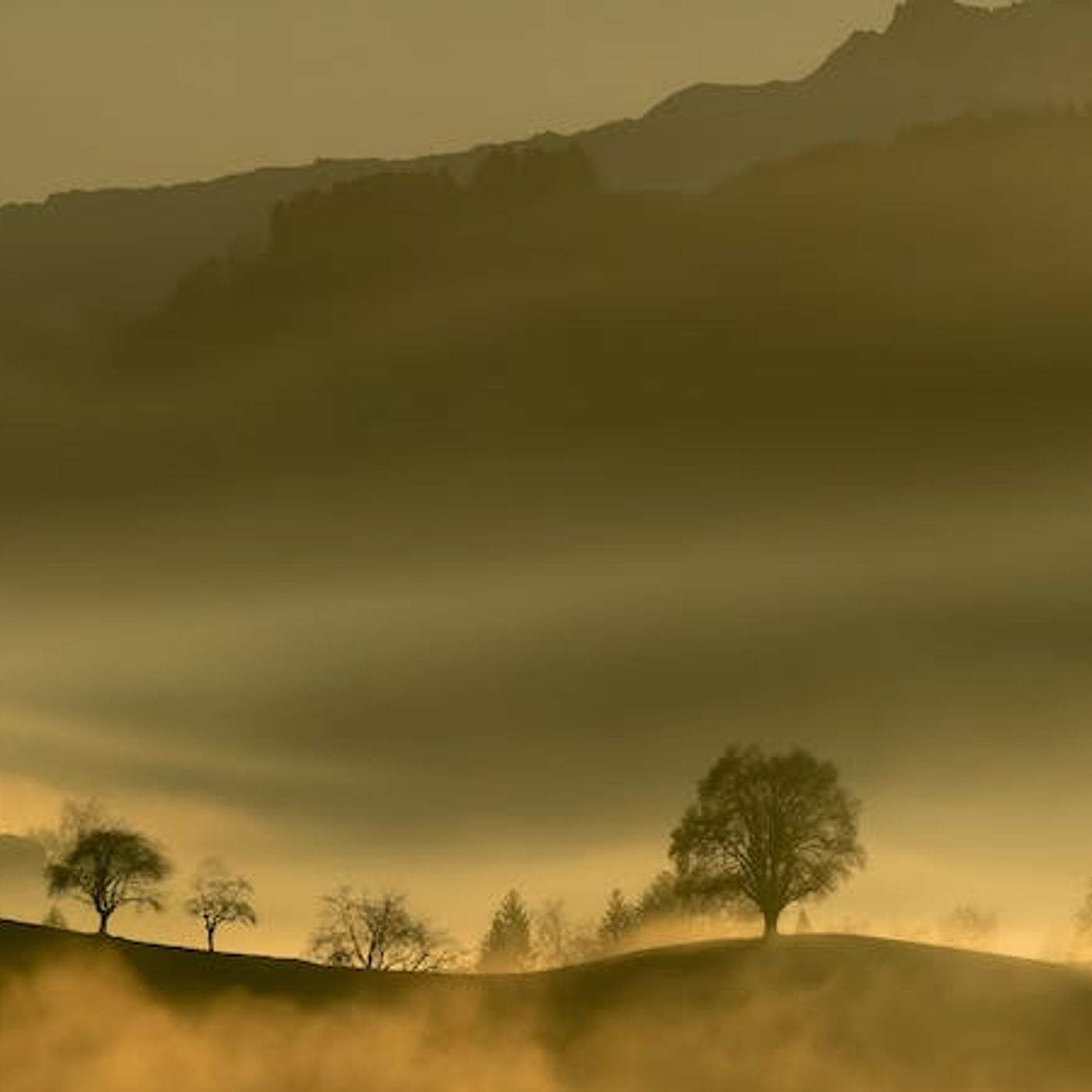 If God Is Sovereign, Are My Prayers Pointless?