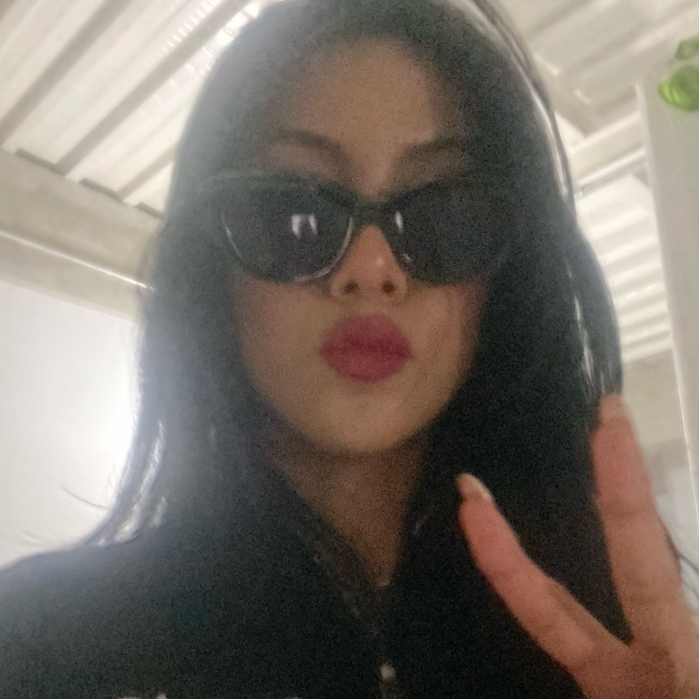 Ciclo de vida de un producto con Chenoa