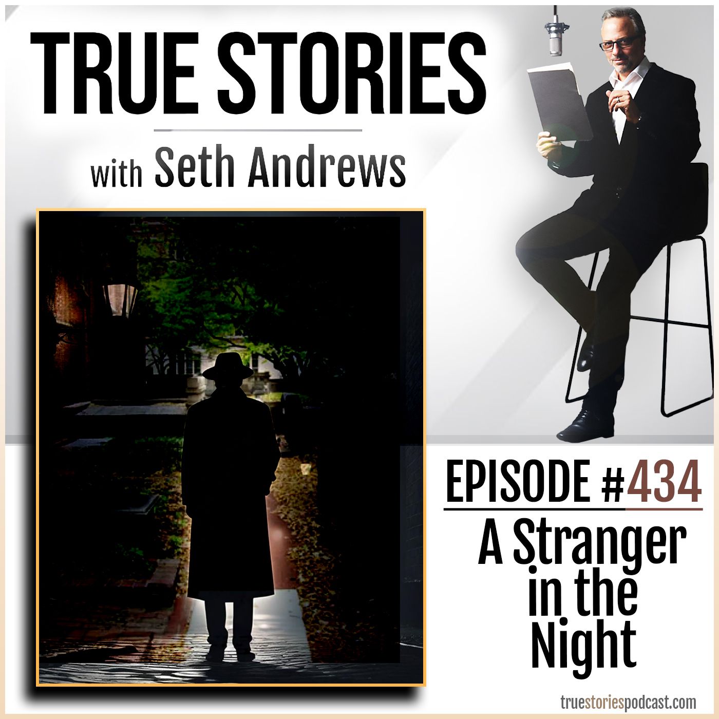 True Stories #434 - A Stranger in the Night True Stories #434 - A Stranger in the Night