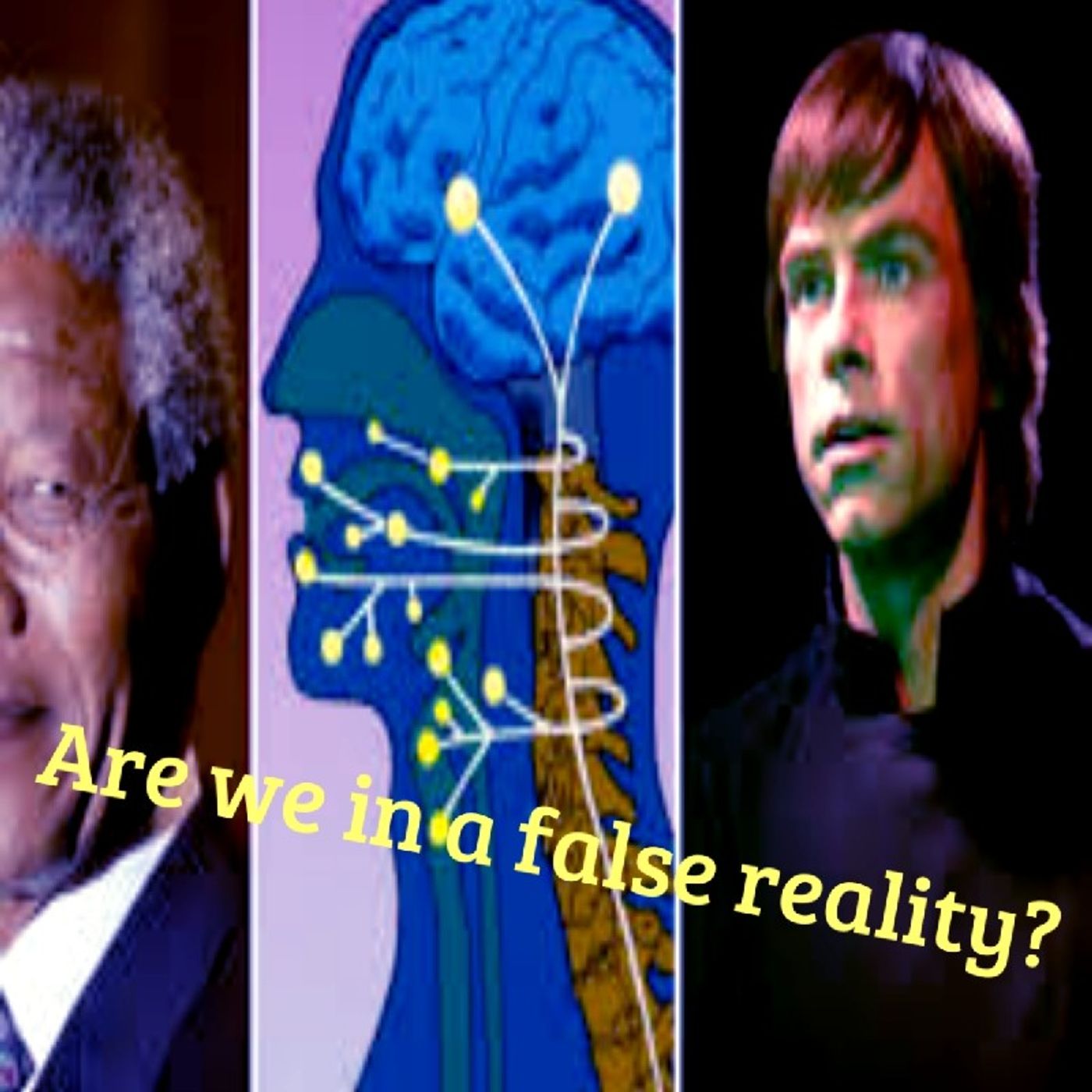 Are we living in a false reality? Episode 19 - Dark Skies News And information episode artwork