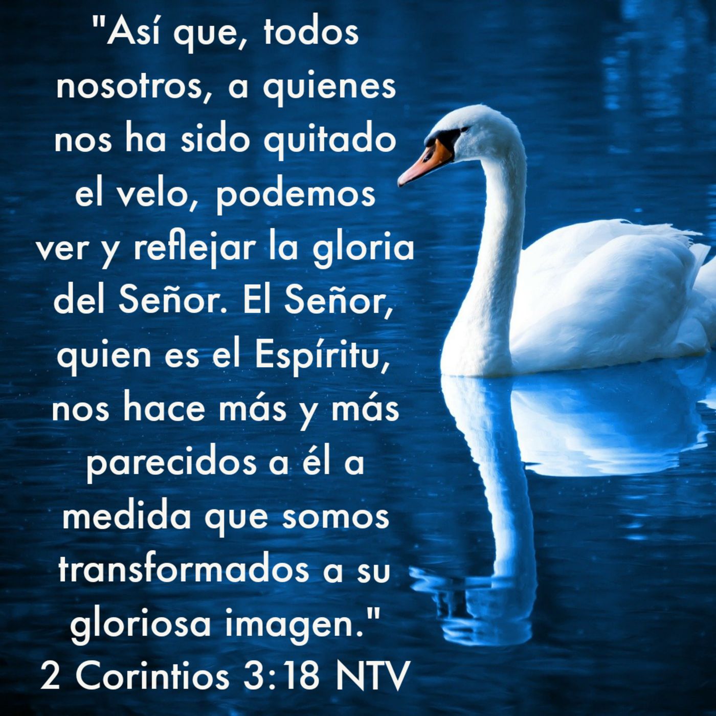 Ministerio UMCD - Un Momento Con Dios | Reflexiones Cristianas