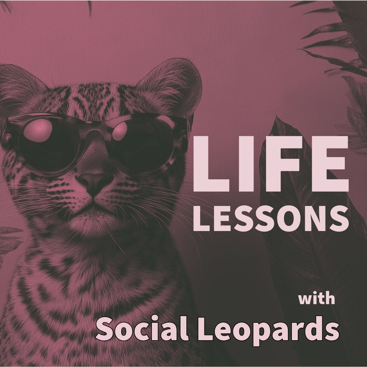 Life Lessons with Social Leopards