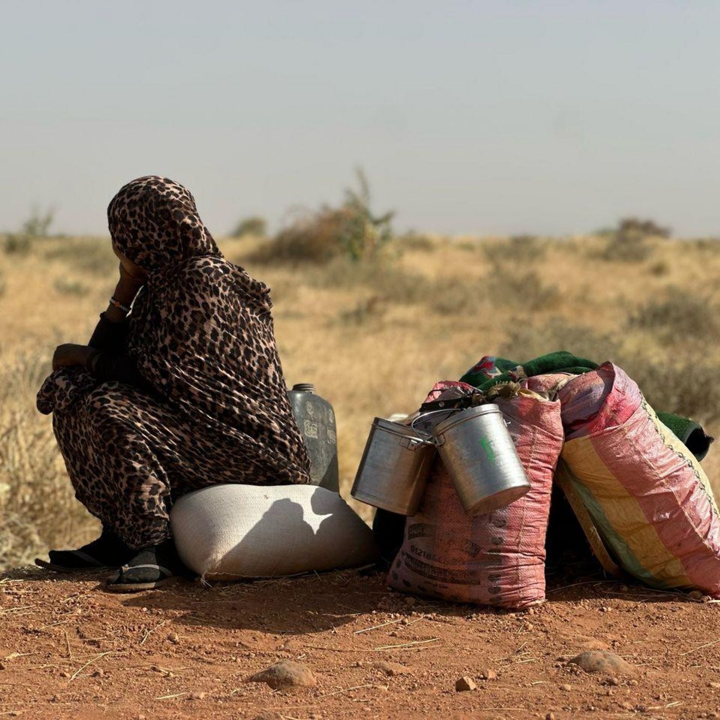 Two years of civil war in Sudan: how can the fighting end?