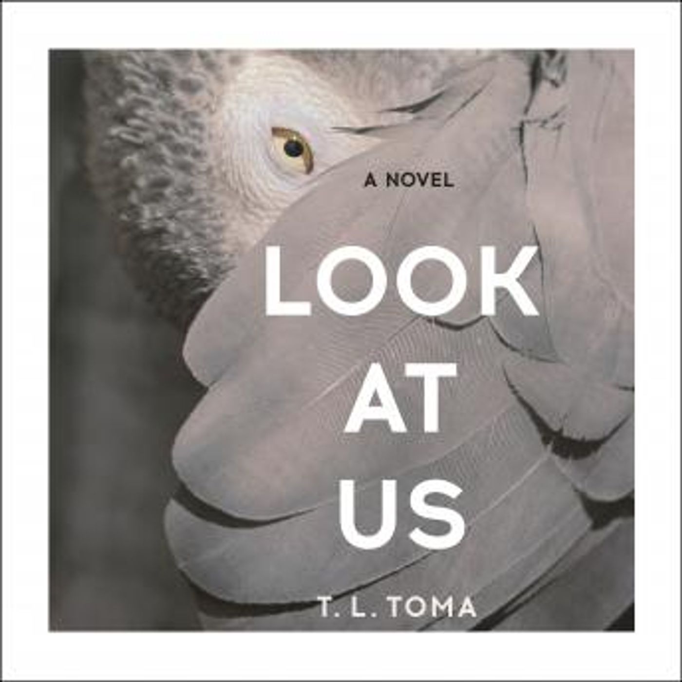 Look at Us by T. L. Toma episode artwork
