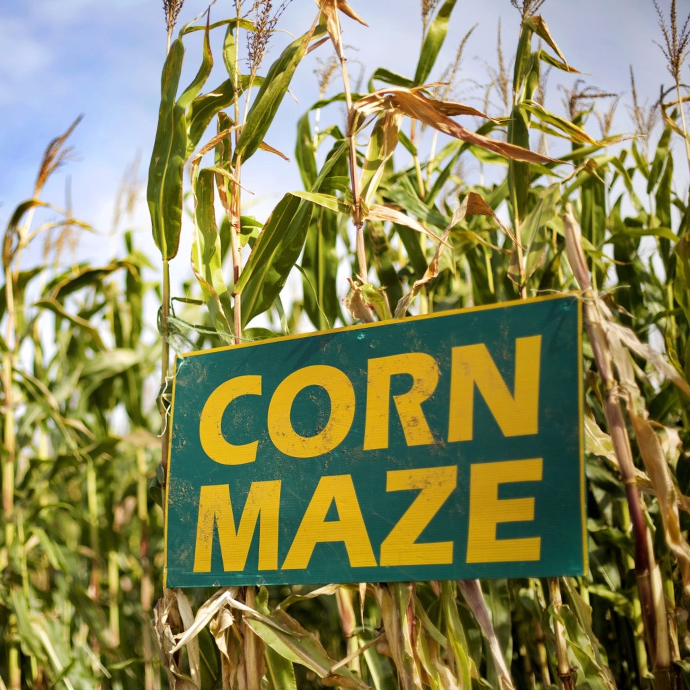 PantsFreePod - Corn Maze Of Death episode artwork