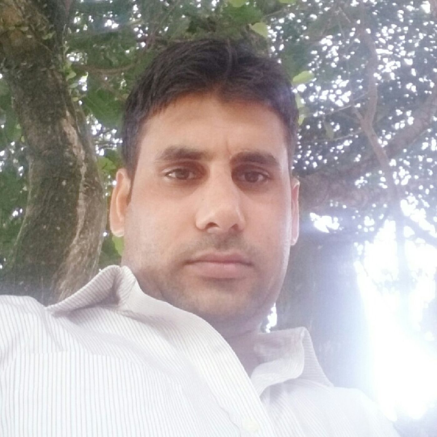 Muhammad Saleem Ali\'s show