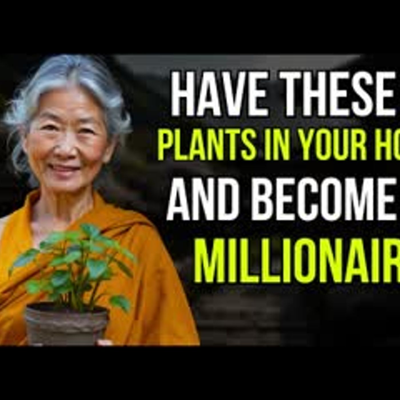 5 Powerful Plants That Will Instantly Attract Wealth to Your Life   Money Abundance Buddhism