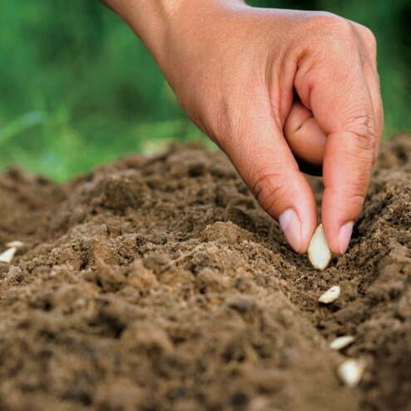 La Voce di Eugenio: Riflessioni, Vangelo e Poesia