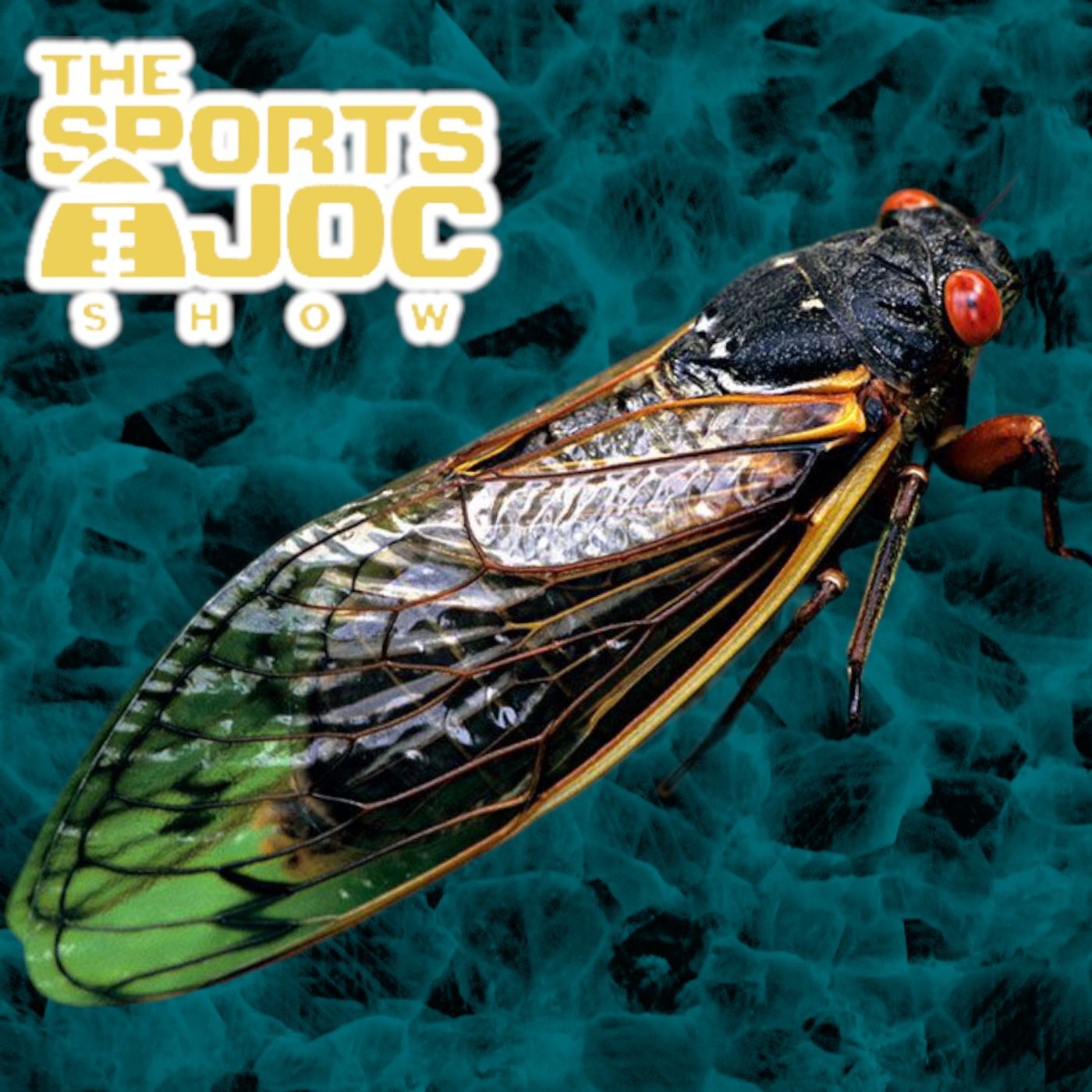 The Sports Joc Show with Wayne Gandy