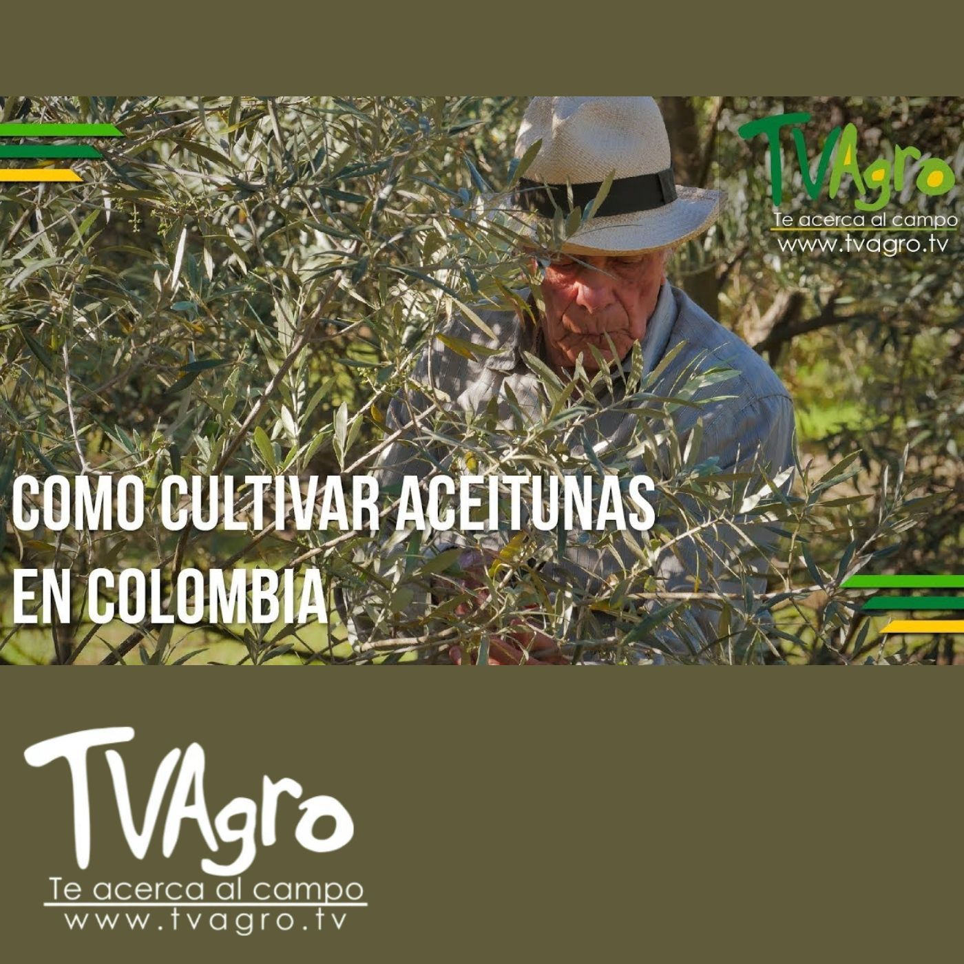 TV AGRO