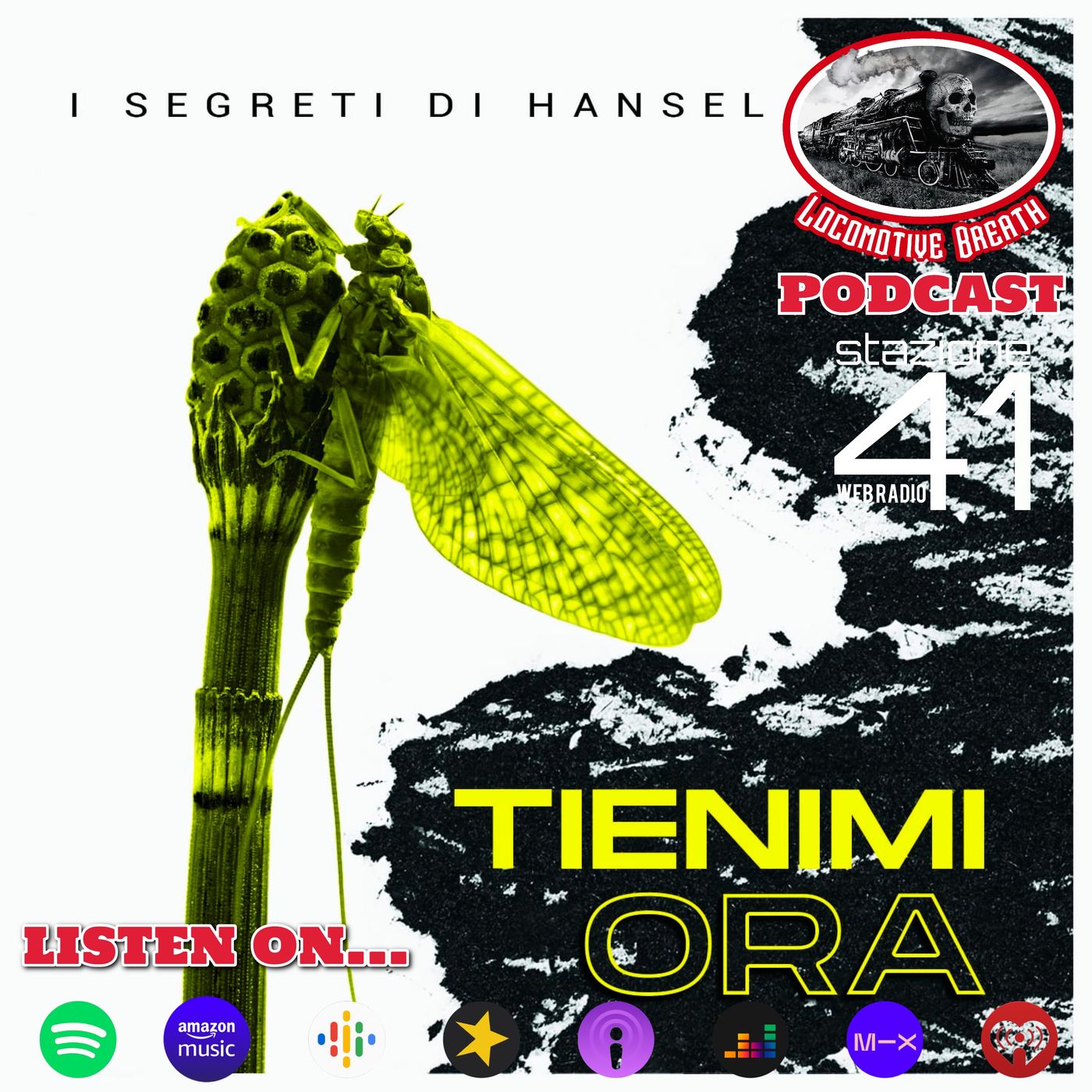I Segreti Di Hansel "Tienimi Ora" episode artwork