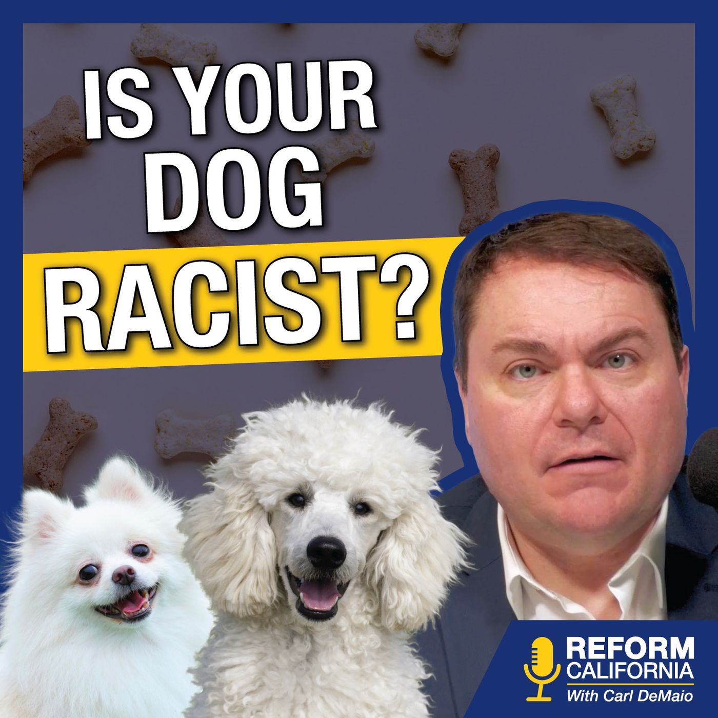 Reform California with Carl DeMaio