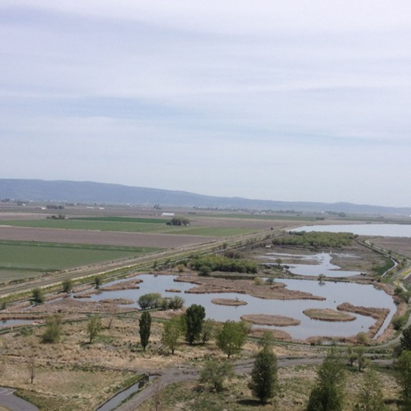 Not Much Refuge In Klamath Basin For Migratory Birds episode artwork