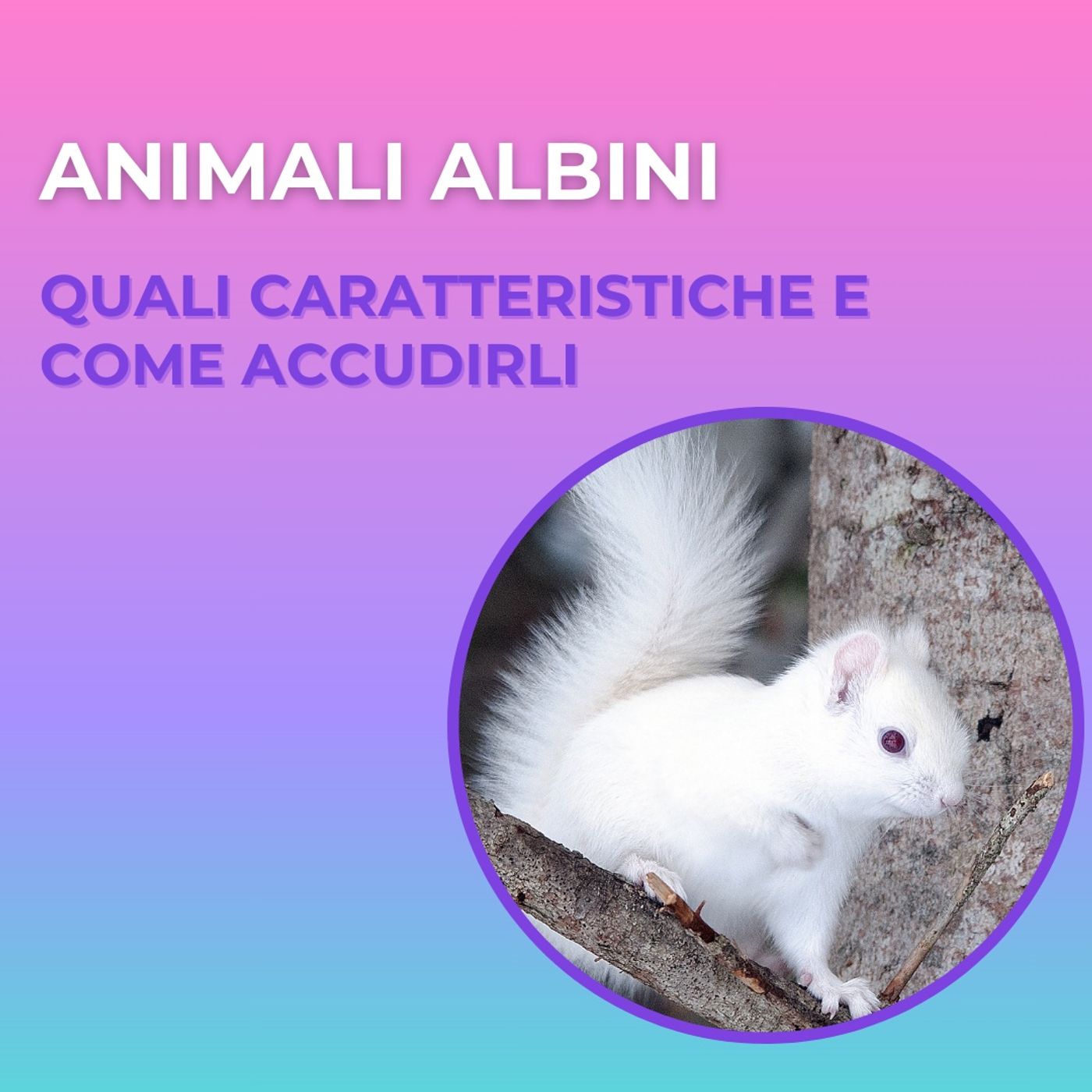 Nero su bianco  - storie di albinismo