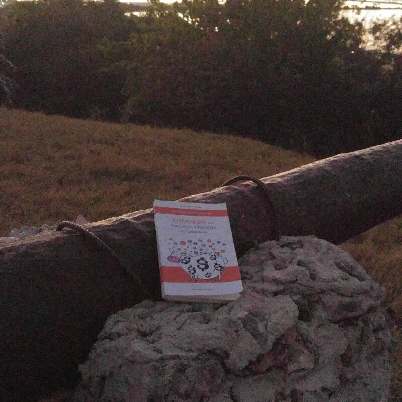 ¿Qué estás leyendo?
