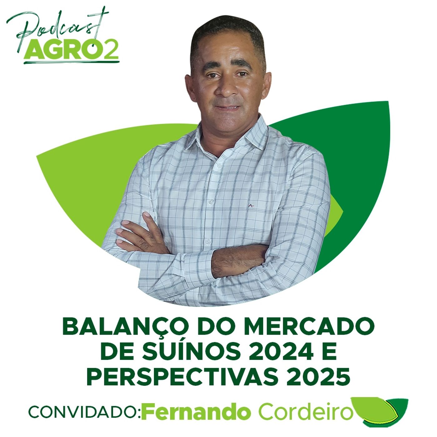 Mercado de suínos cresce 20% no fim de ano e fecha 2024 com custos estáveis e preços recorde #349 episode artwork