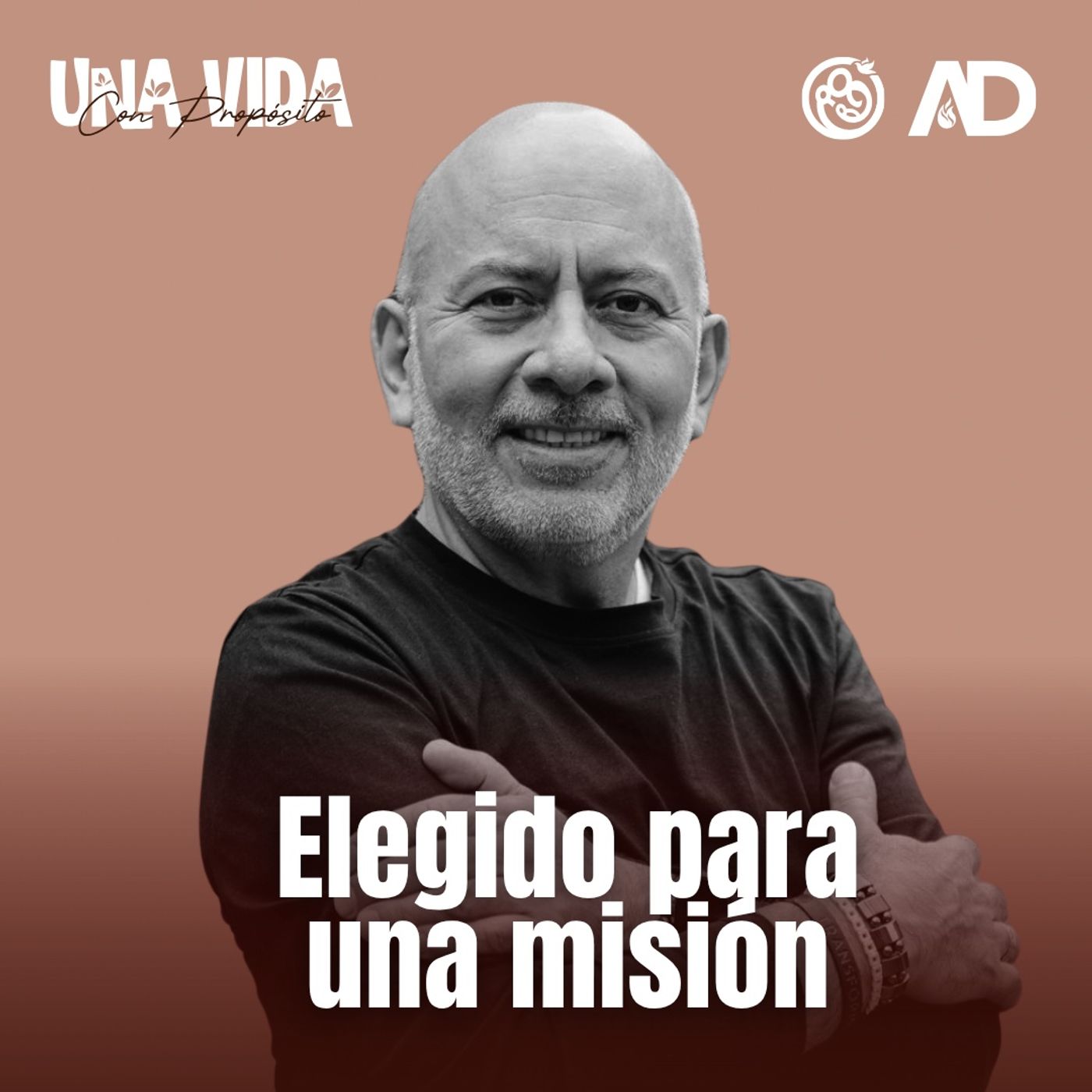 Portada de Entre La Vida y la Biblia