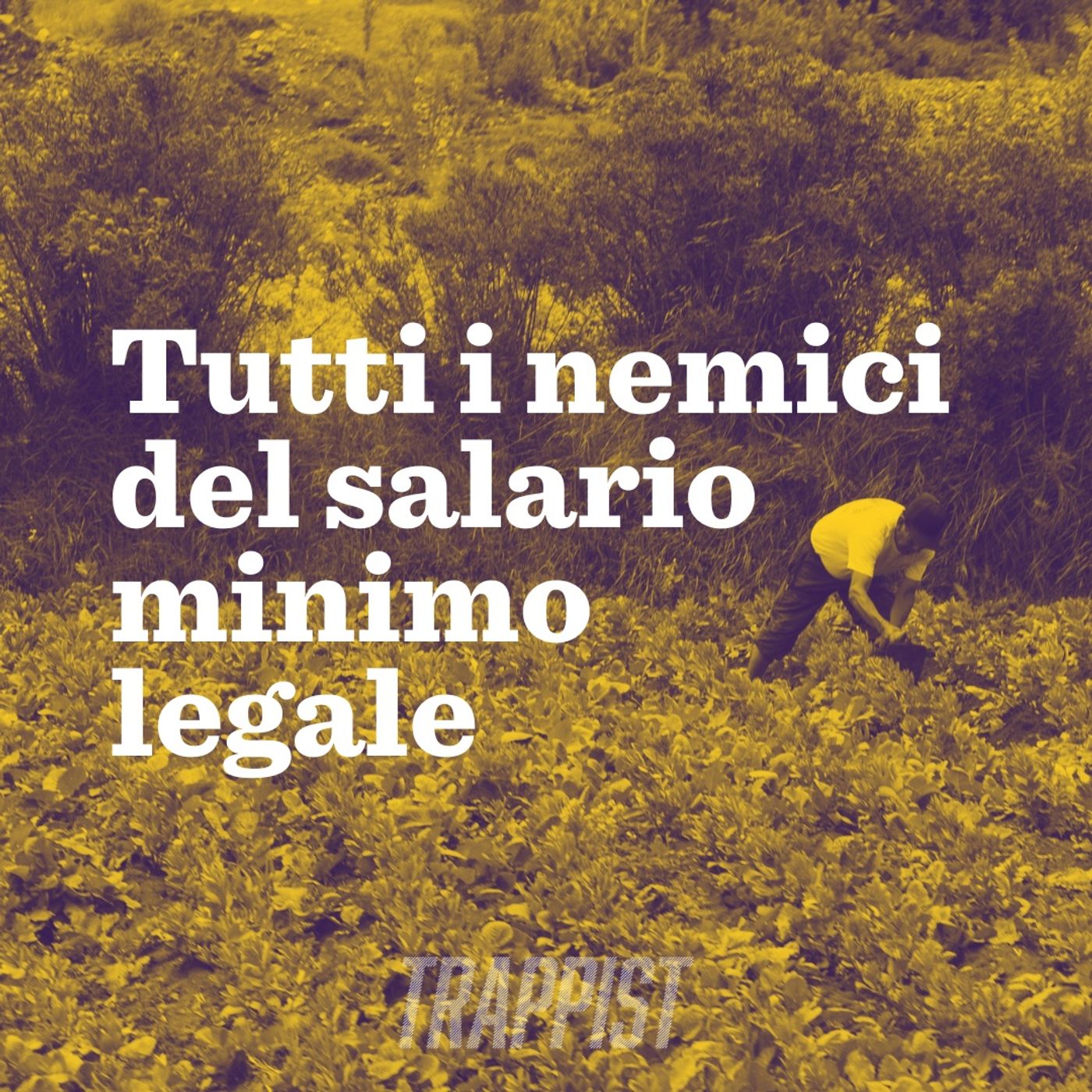 TRAPPIST