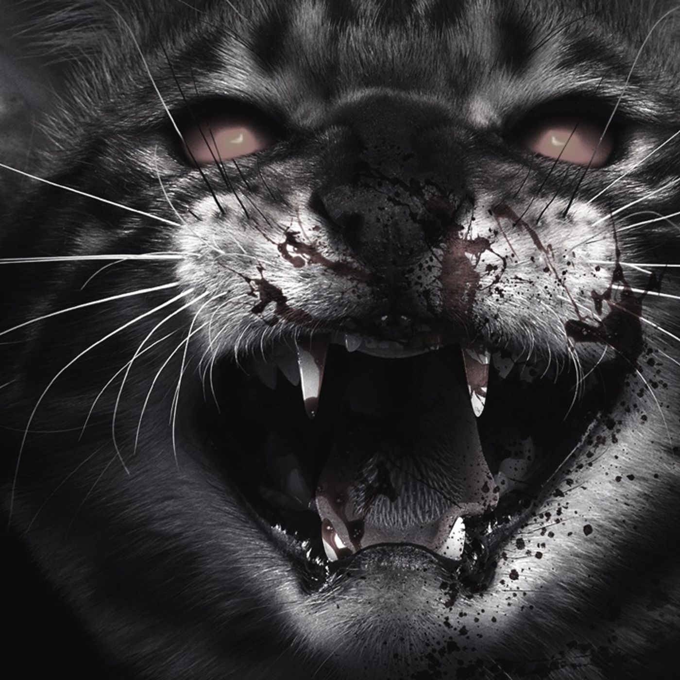 La Maldición De Sombra El Gato Negro Historias De Terror - Voces De La Noche