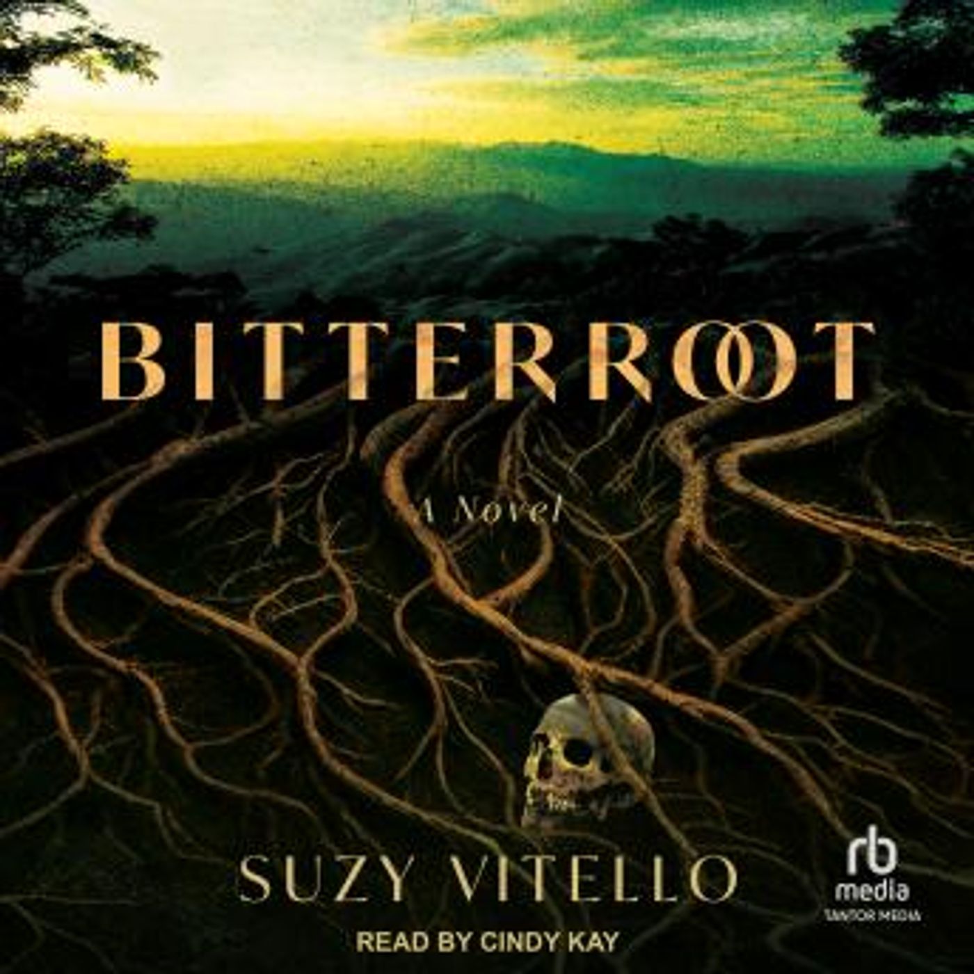 Download Best Full-Length Audiobooks in Fiction, Drama